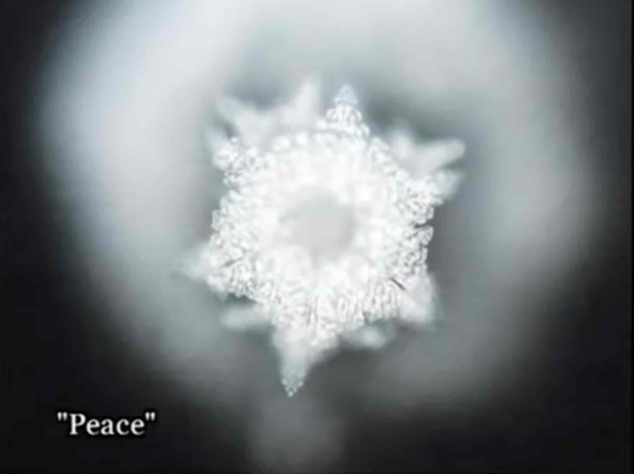 cristal-guerra-paz-3